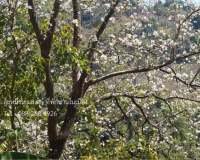 nanhomestay-002