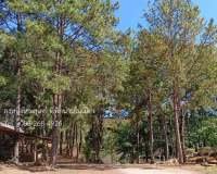 nanhomestay-005