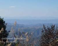nanhomestay-007